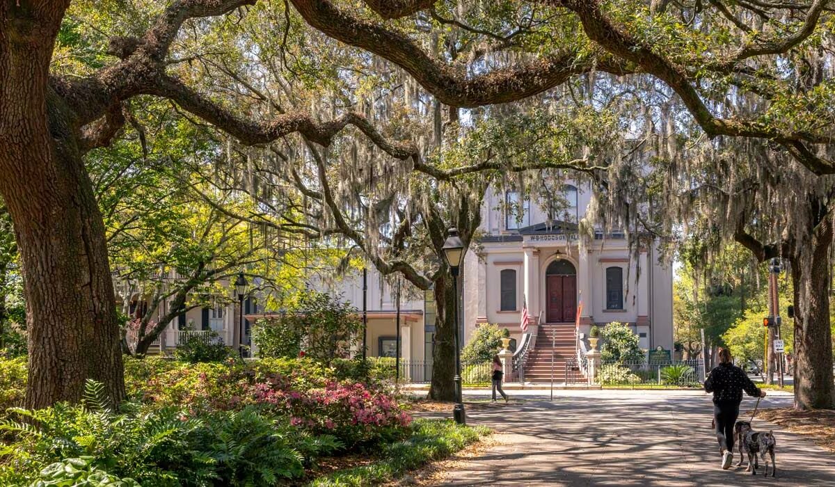 a panorama of mossy oaks and walkable streets in Savannah Georgia