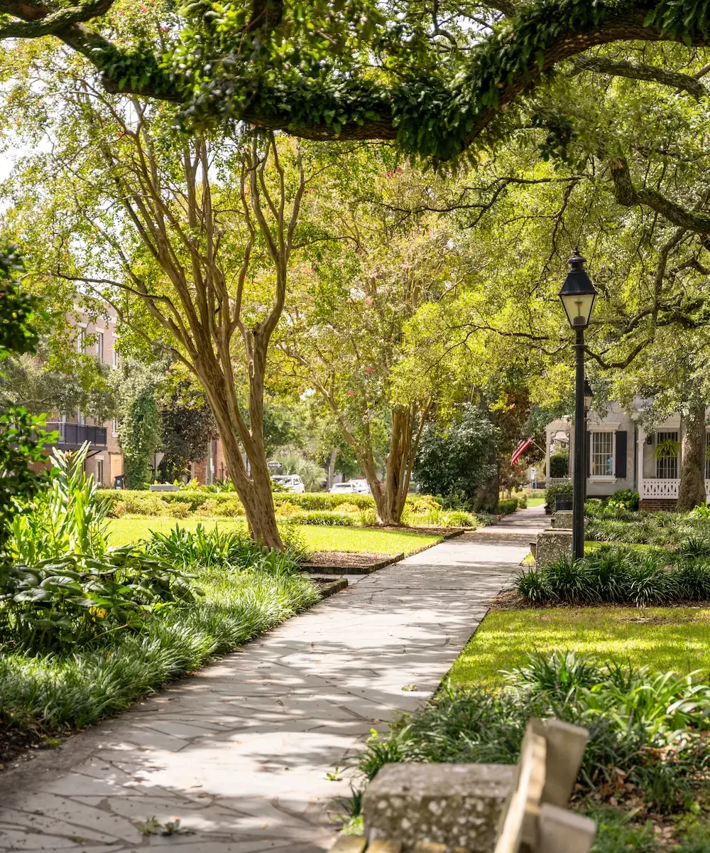 a sun-dappled path through one of Savannah's iconic squares