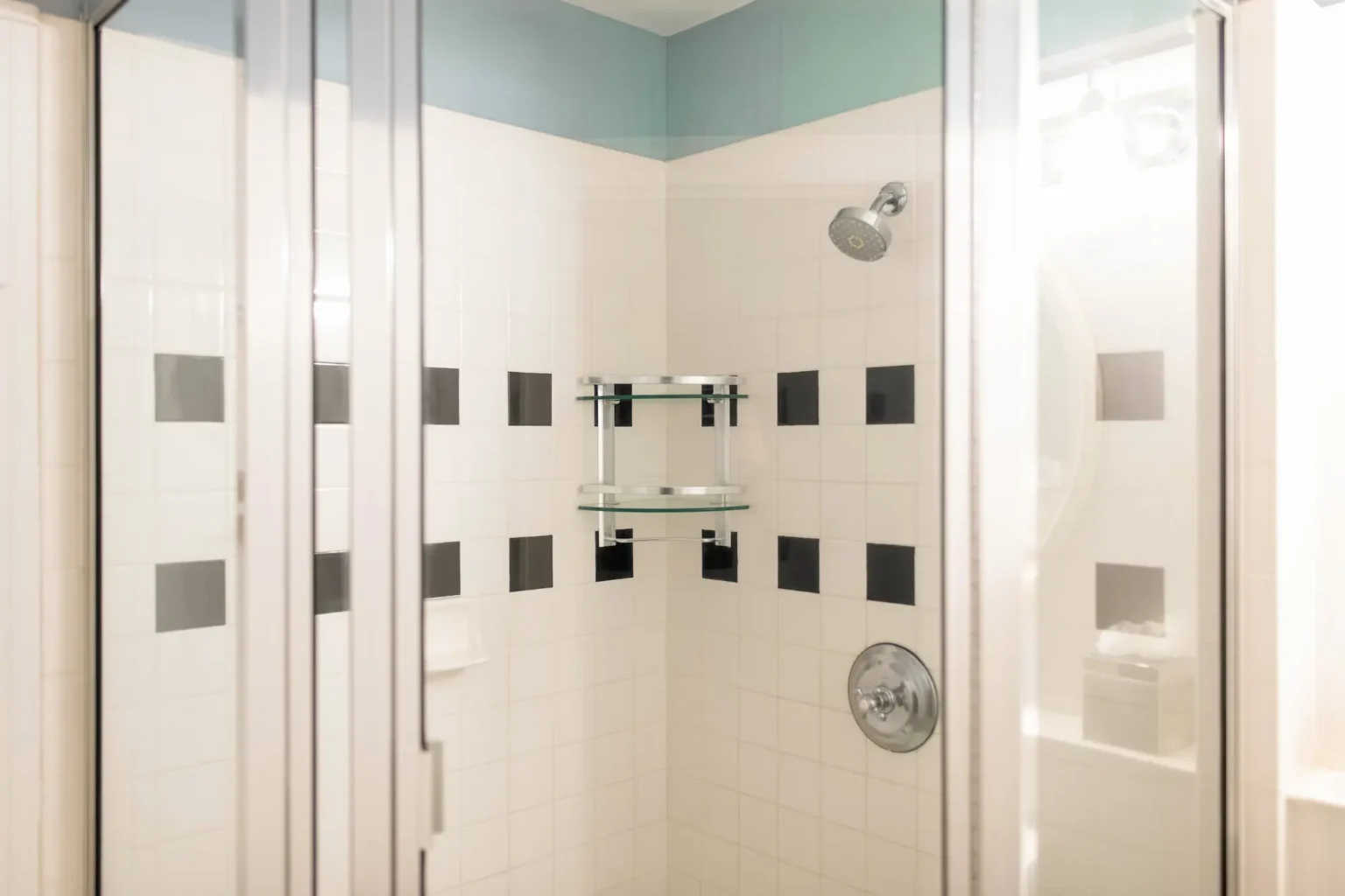 the shower at the superior king room at the Marshall House hotel