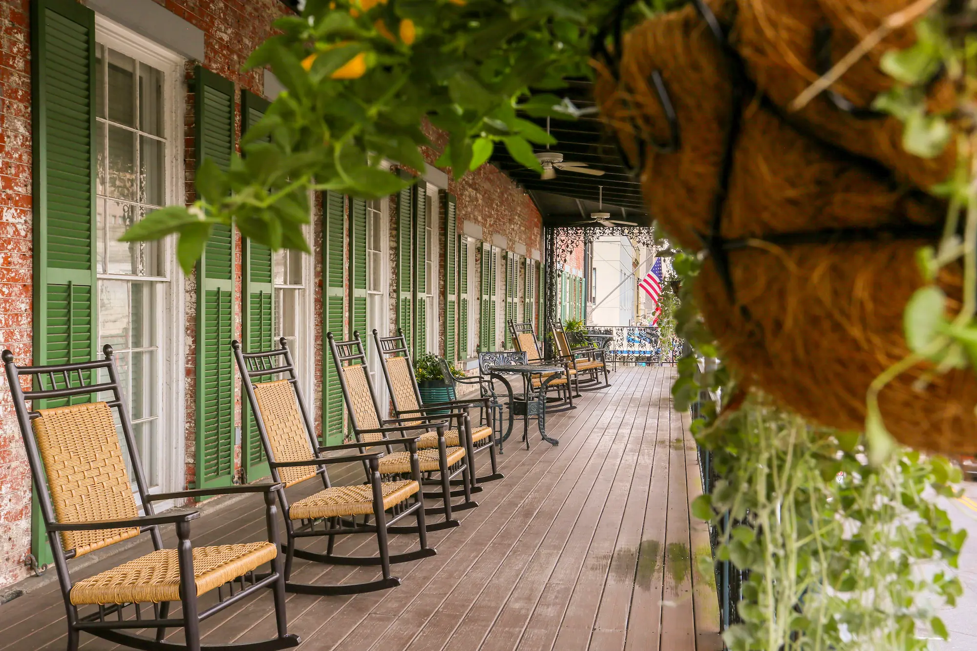 ivy and rocking chairs